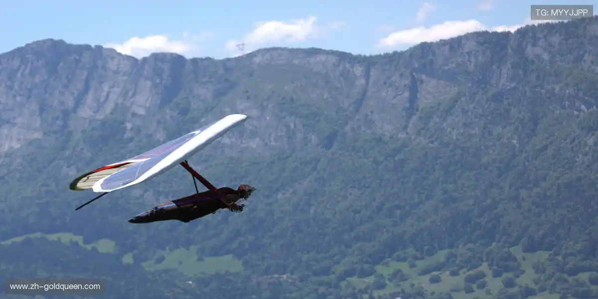 🎙️ 金牌解说带你品鉴每一回合的战术艺术!🎨